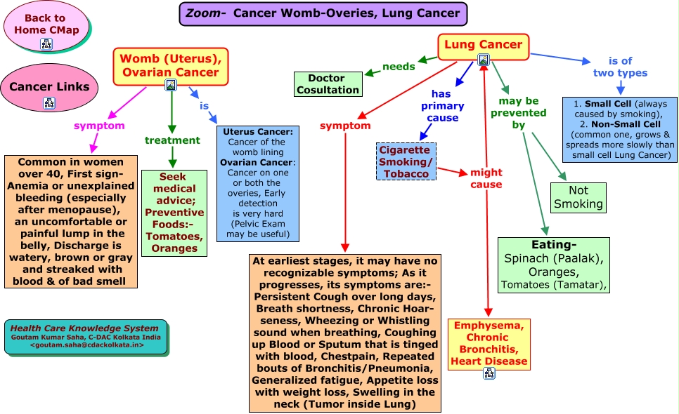 Zoom Cancer Womb Overies Lung Cancer Html