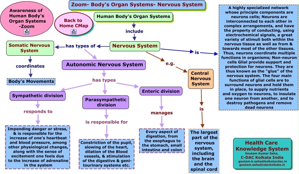 Zip Code Map Autonomic Nervous System Concept Map