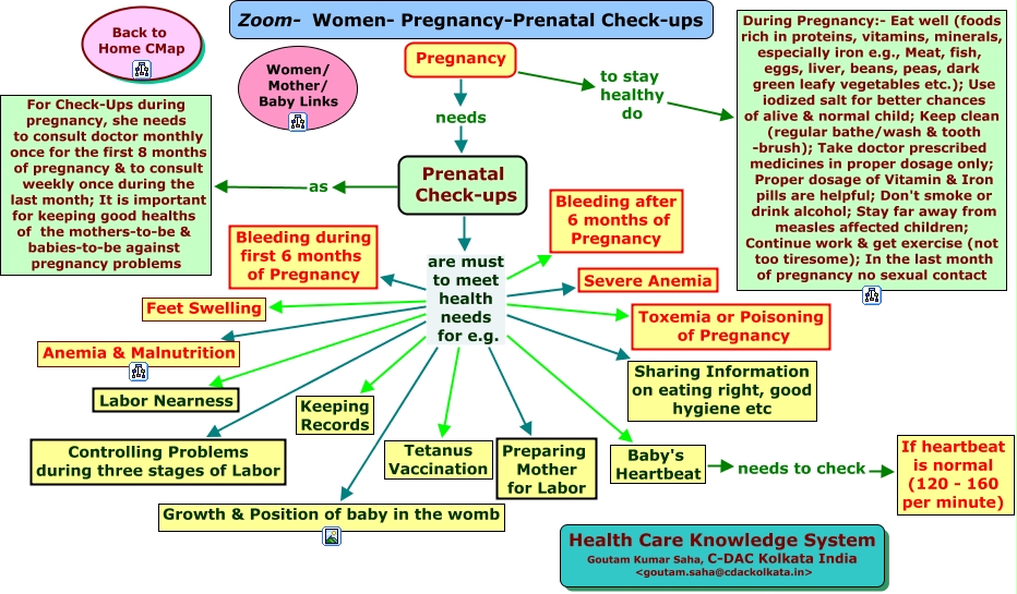 Pregnancy Concept Map